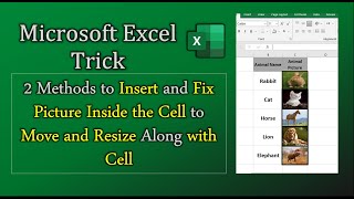 How To Insert Picture In Excel Cell 2 Methods To Insert And Fix Photo How To Insert Picture In Excel Cell 2 Methods To Insert And Fix Photo